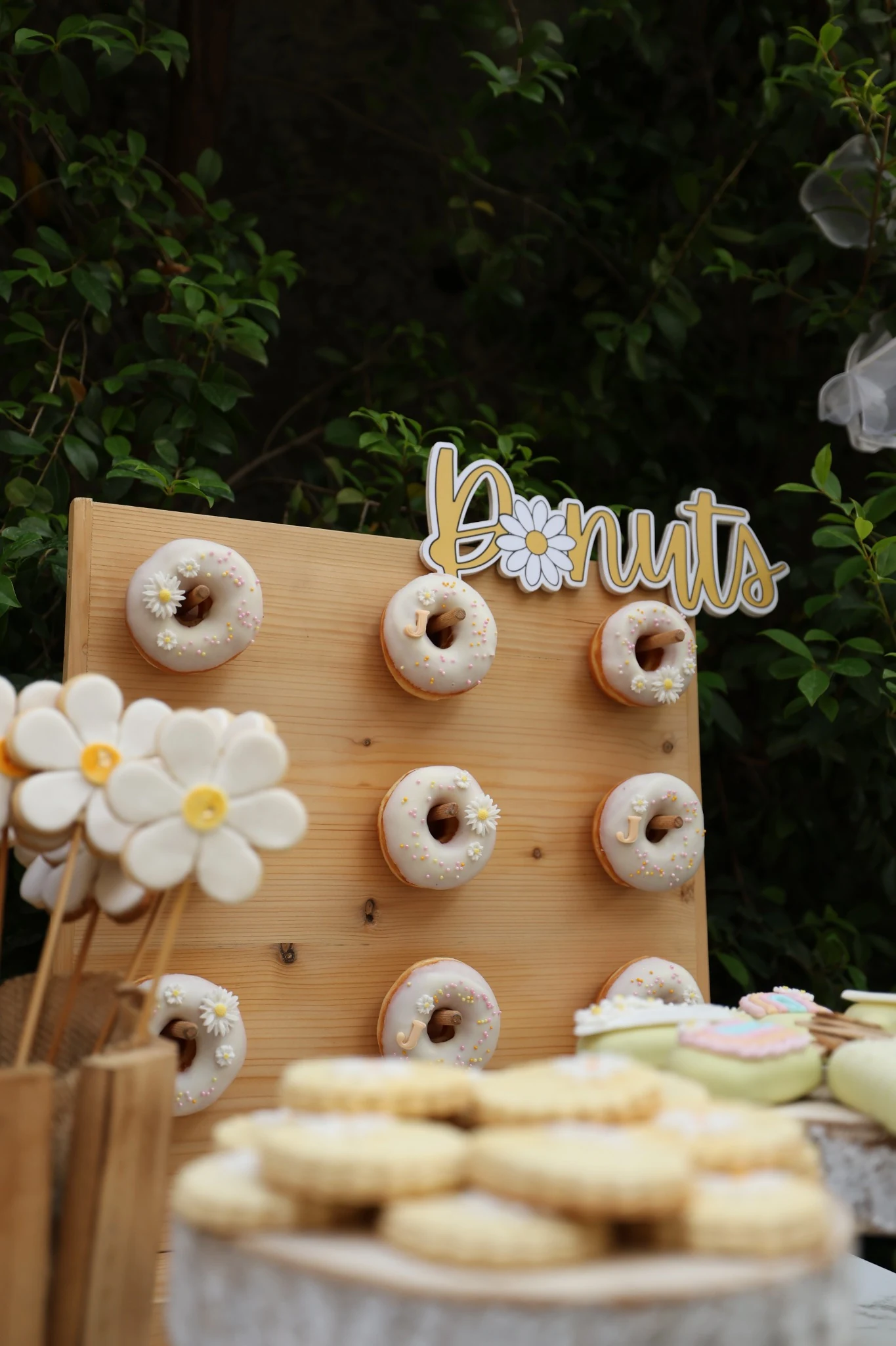 Jamie Turns 2 — project photography 4