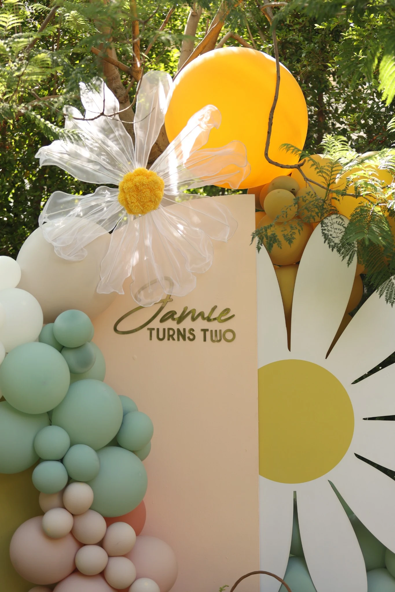 Jamie Turns 2 — project photography 3